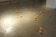 Les oeufs 2010 - Magali Babin